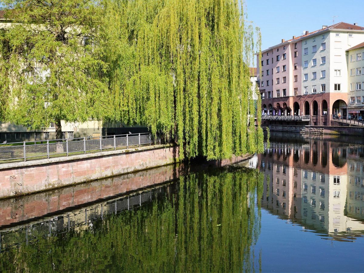 Pforzheim Enz Goldstadt Pforzheim Enz